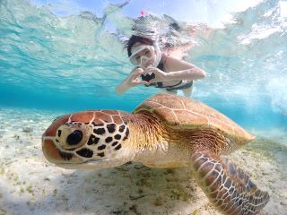 初めての方でもお楽しみいただけます!