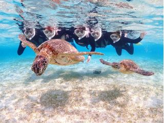 初めての方でもお楽しみいただけます!