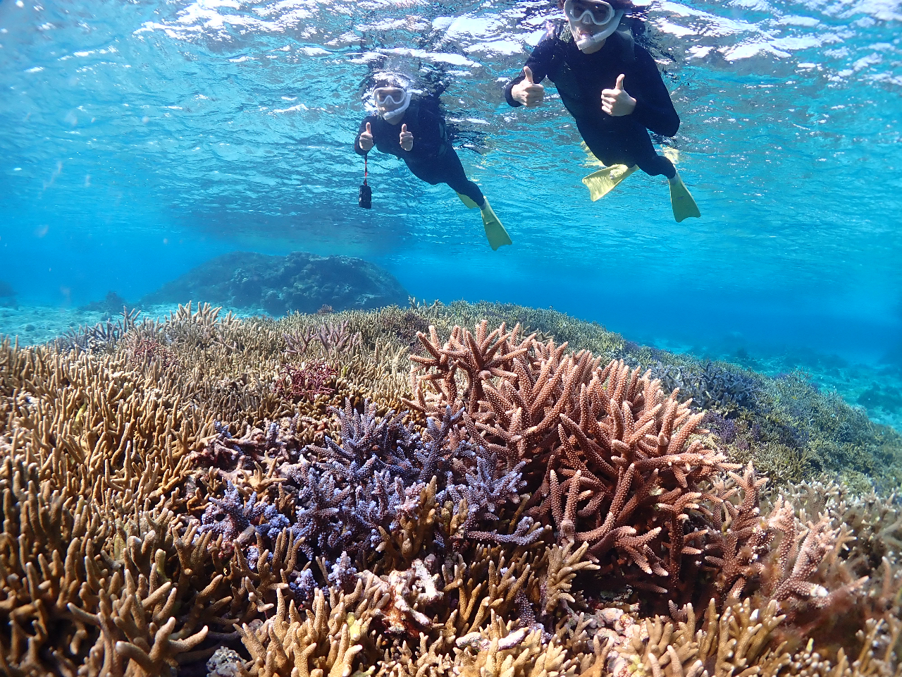 E~KȂIFƂǂ̊CĚł܂I