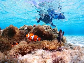 ファミリーの方におすすめ!誰にも気を使わず家族みんなで楽しみましょう♪