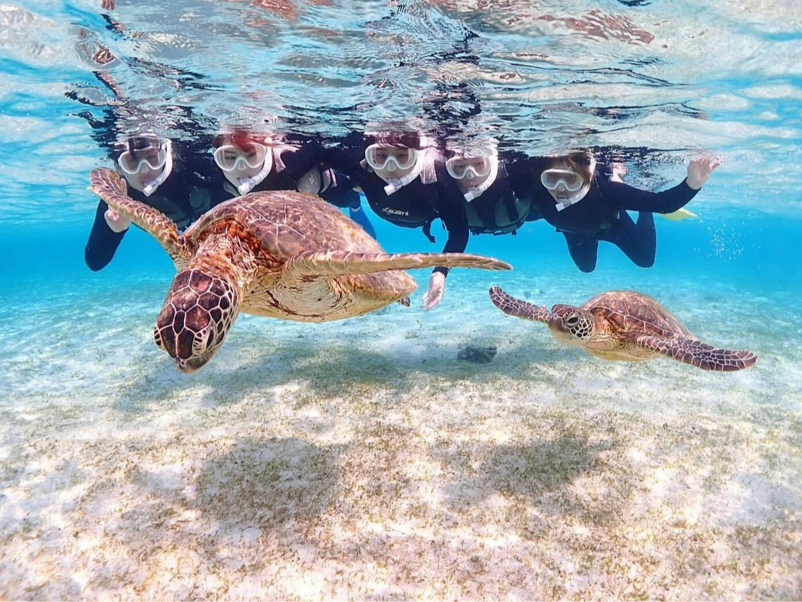 誰にも気を使わず家族みんなで楽しみましょう♪