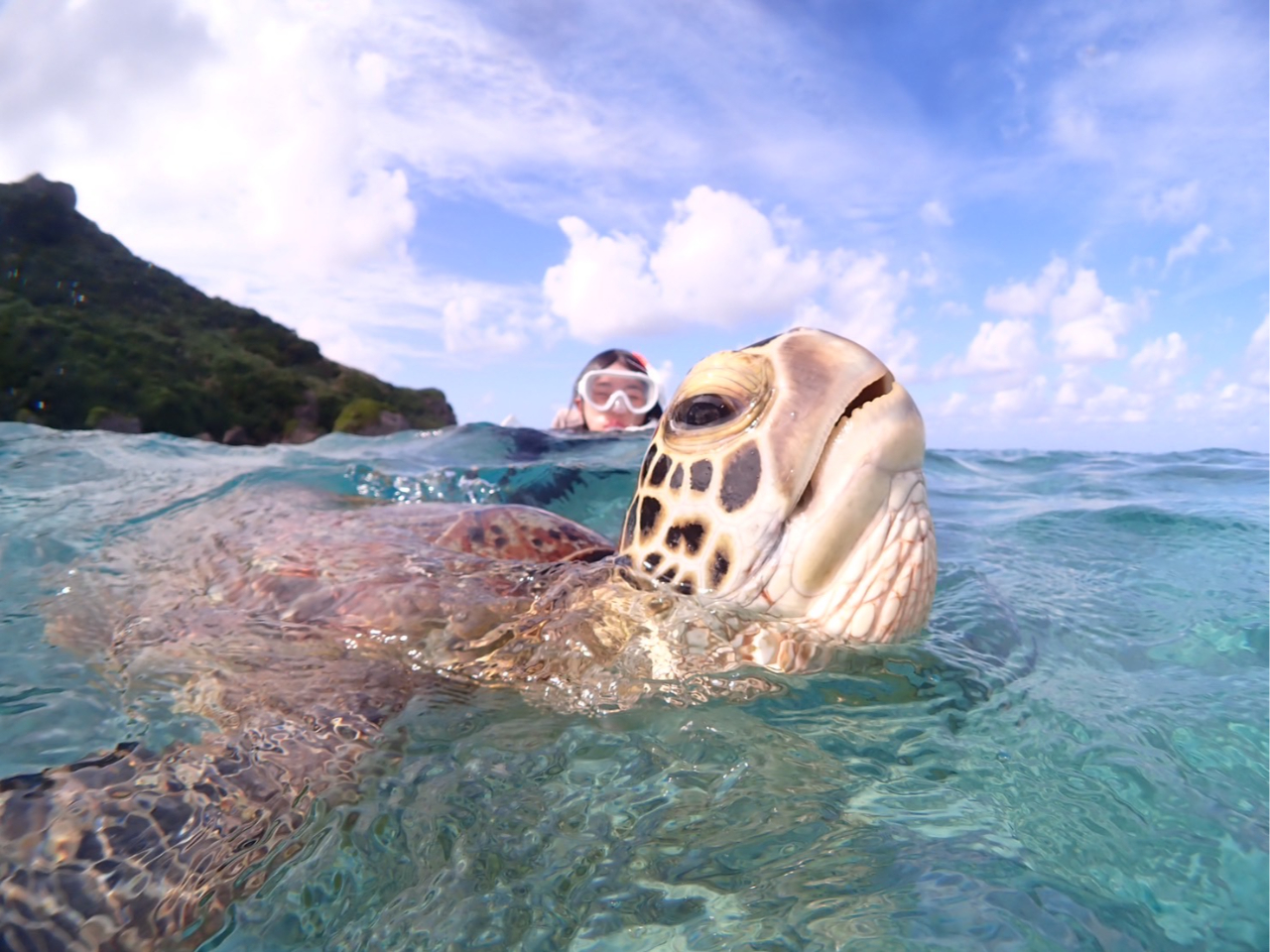 ʂIׂΑłE~KƏoƂł܂̂łCyɂk