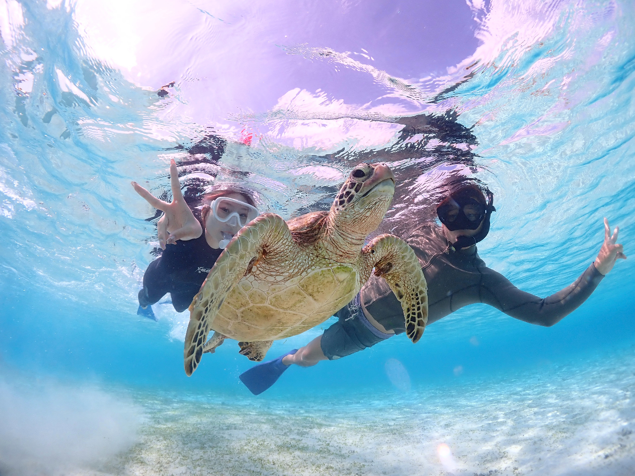 ウミガメと接近ショットも可能です♪