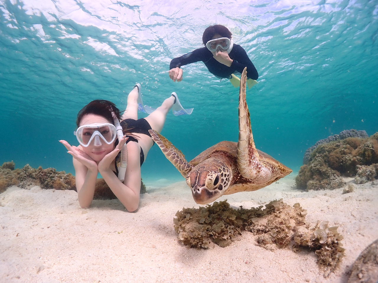 ライフジャケットなしなのでウミガメに超接近できます♪