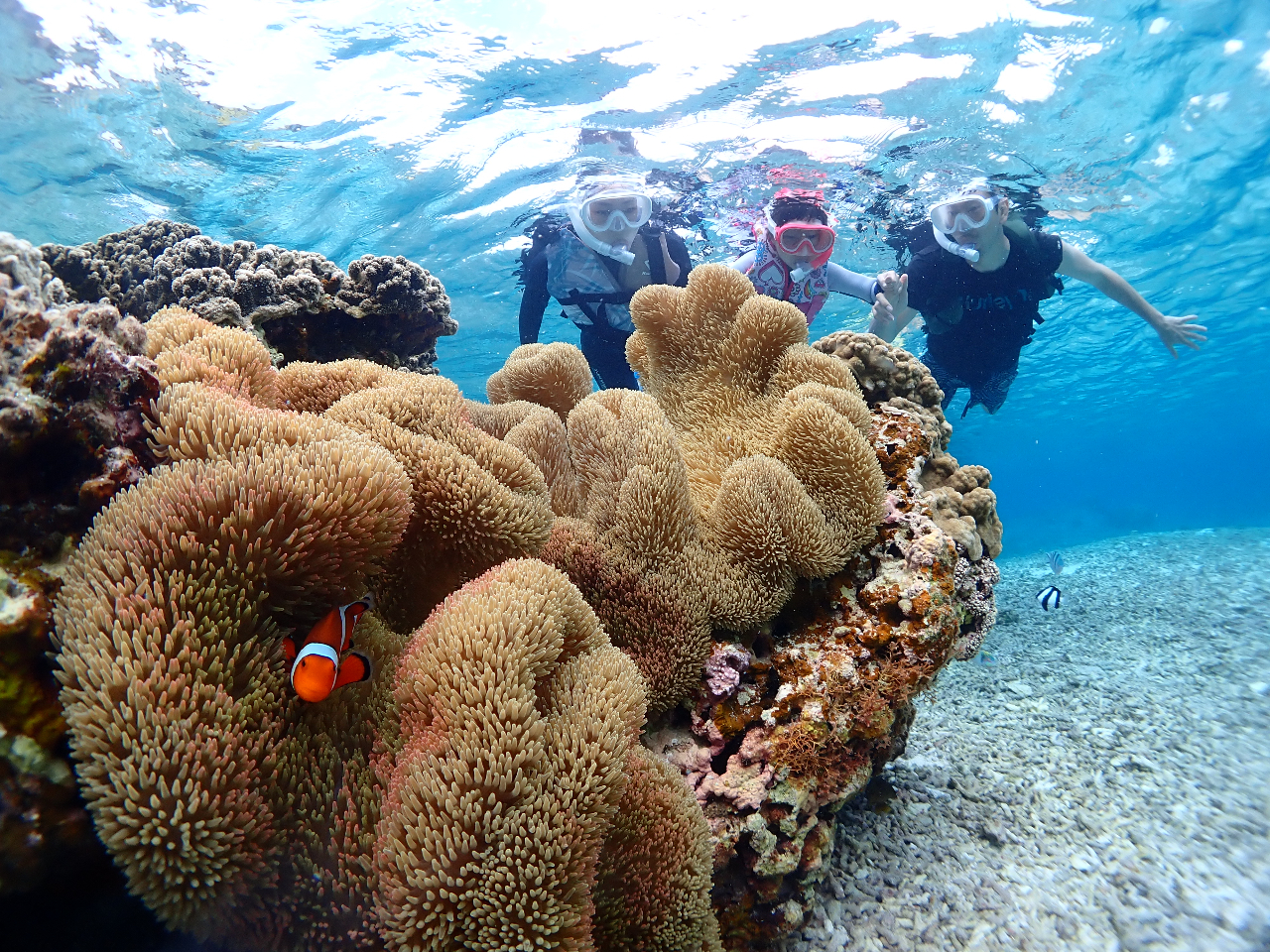 写真はもちろん無料でプレゼント!!