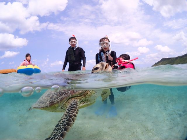 潮位を選べば足がつく高さでもウミガメと出会うことができますのでお気軽にご相談ください♪