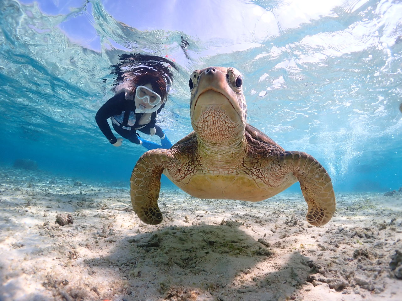 �ݐ؂����炱���x�X�g�V���b�g�𓦂��܂���I