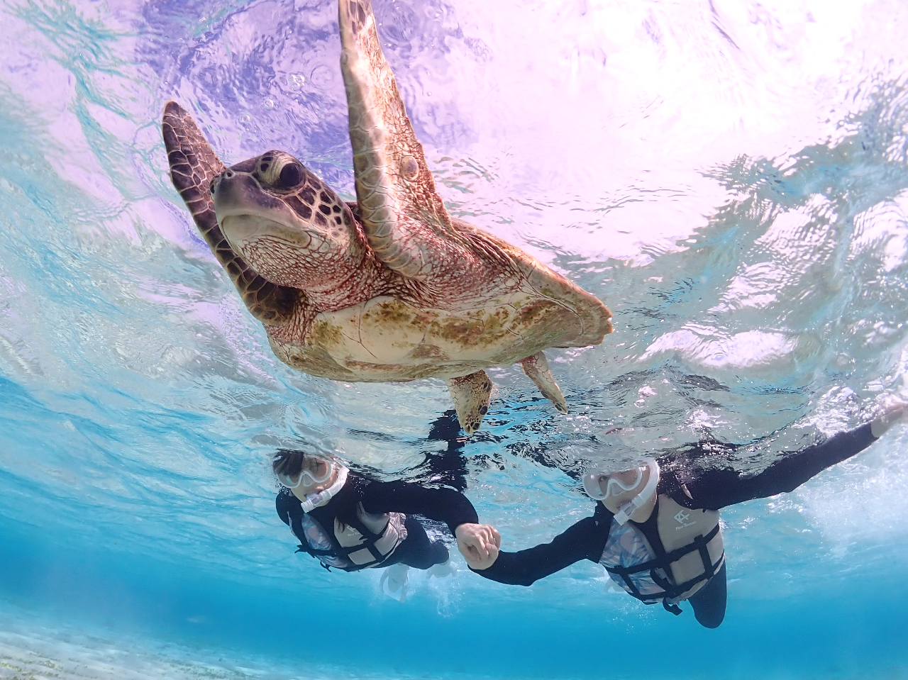 �ŋ��̋{�Ó��̊C�ŉj�����I�I�I