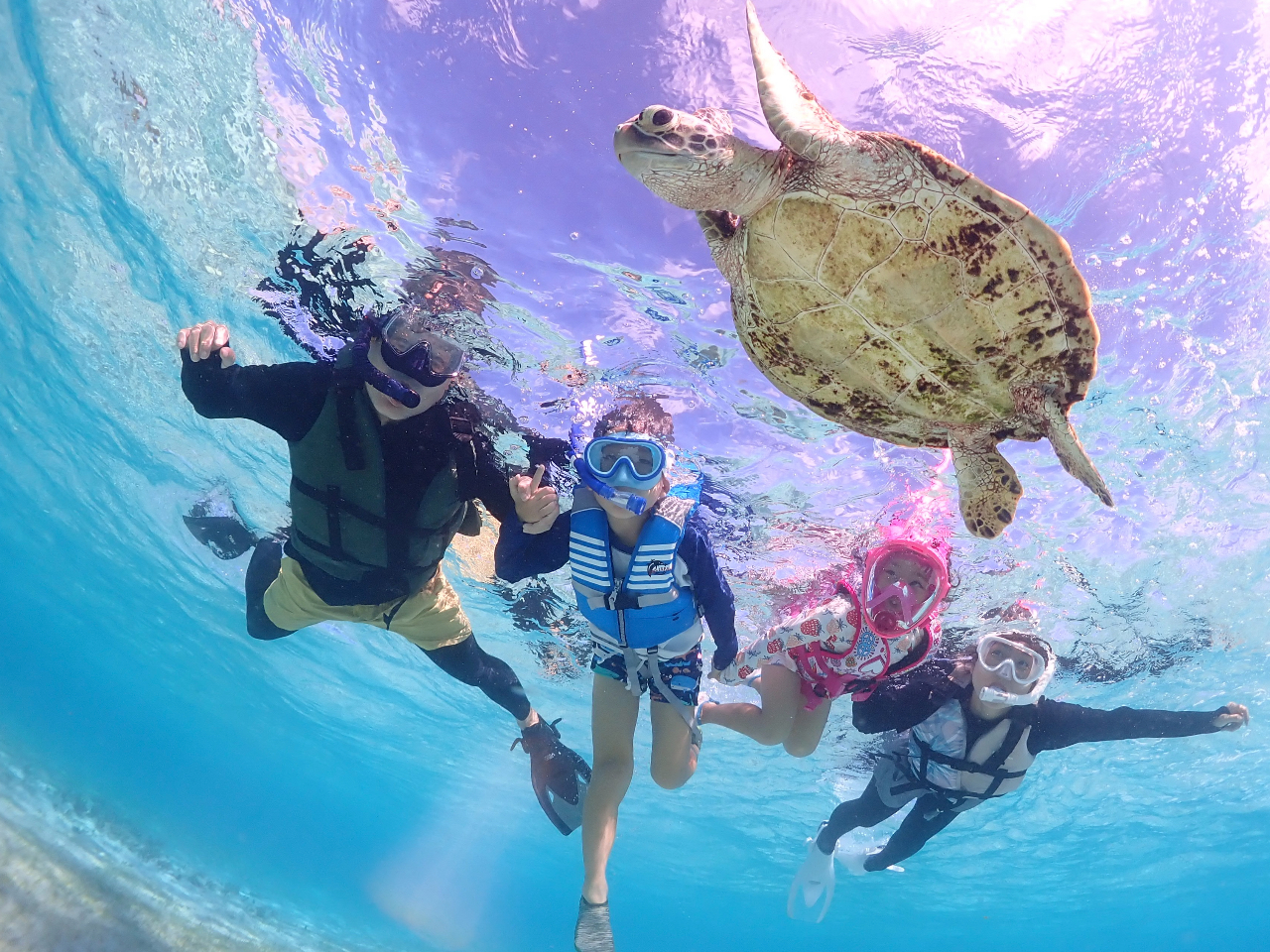 �t�@�~���[���劽�}�I�Ƒ��݂�ȂŊy���݂܂��傤��