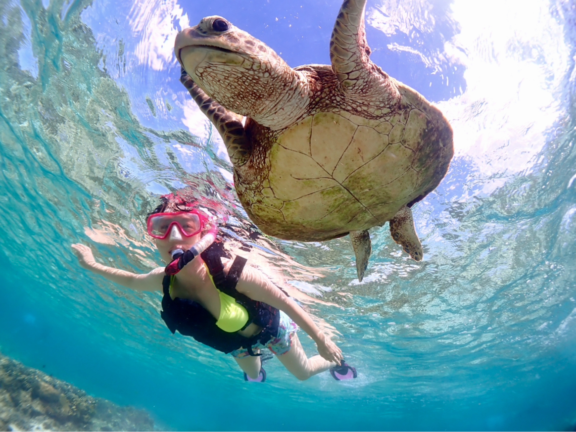 �E�~�K���Ɖj�������̎��ԁ�