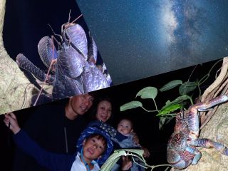 夜の冒険に出かけよう!