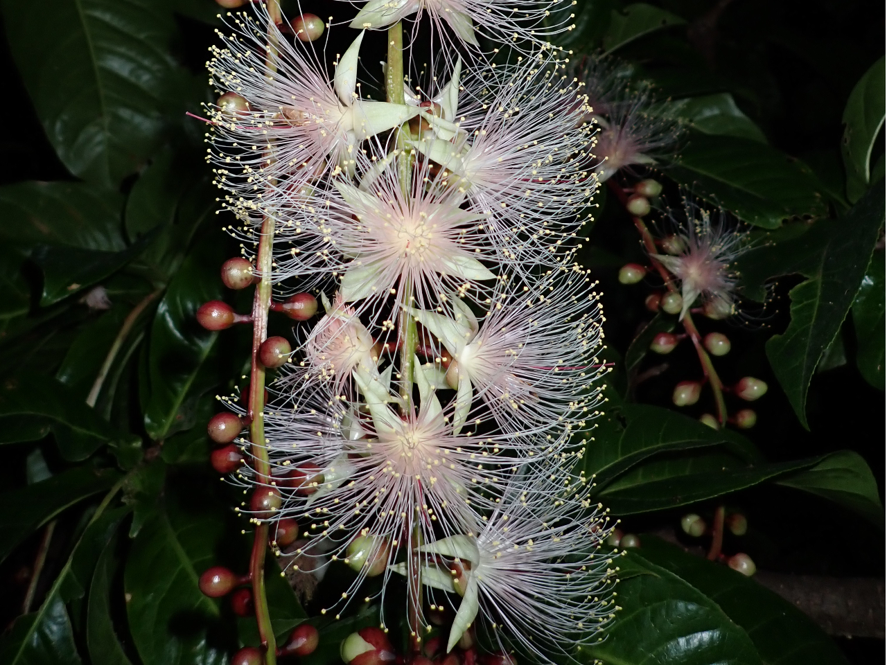 �T�K���o�i������邩���I�H