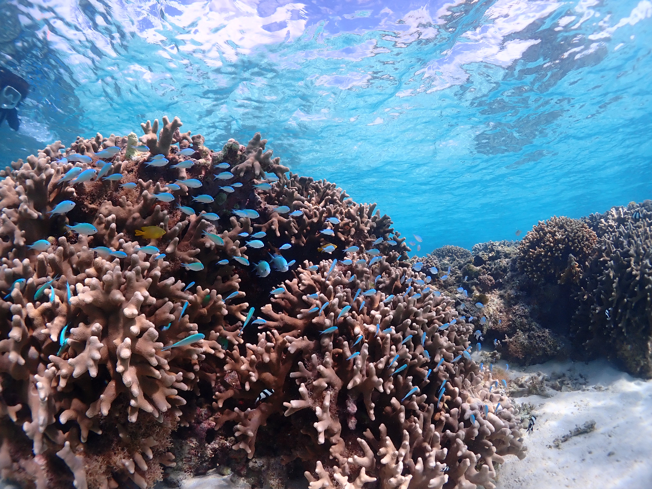 E~KȂIFƂǂ̊CĚł܂I