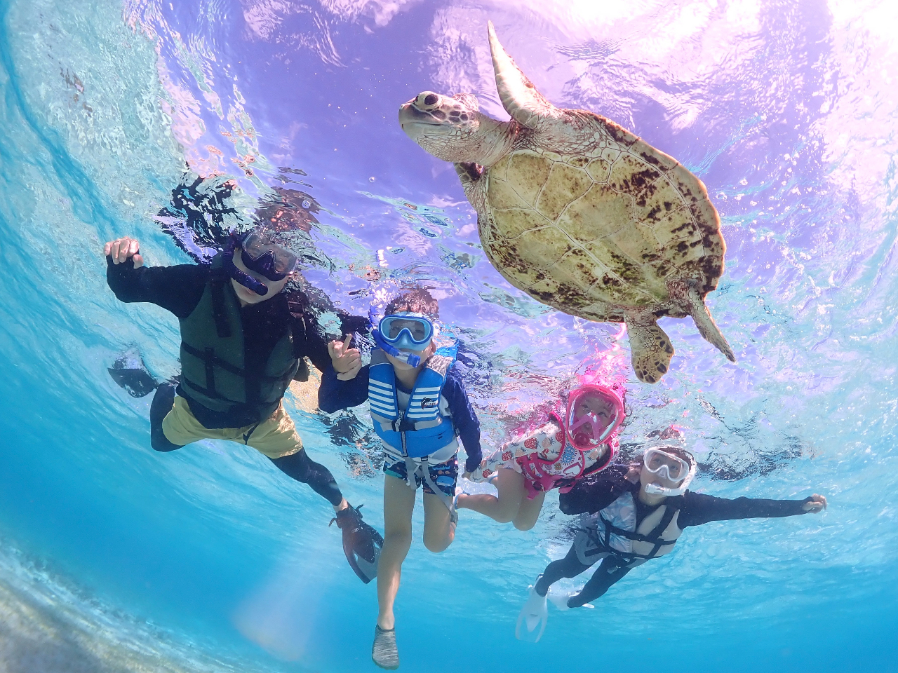 t@~[劽}IƑ݂ȂŊy݂܂傤