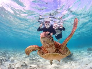 ウミガメと接近ショットも可能です♪