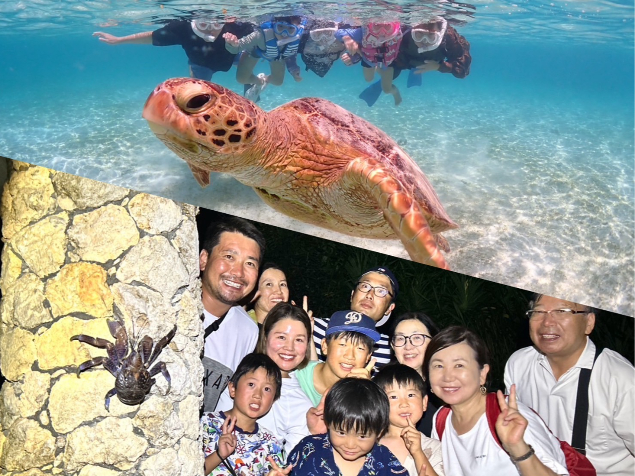 {Ó̐ώ@IIiE~KƃVKjj