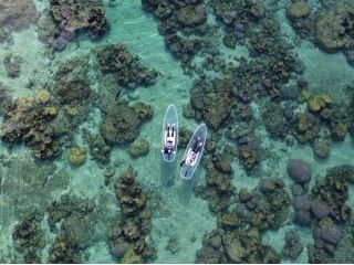 2026年からの新プラン!!大人気クリアSUPで海を楽しみませんか?