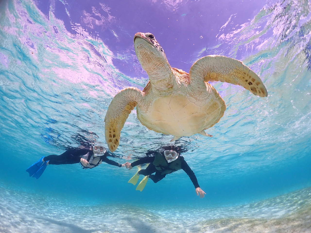 �����̑̌������Ȃ���҂��Ă��܂��I