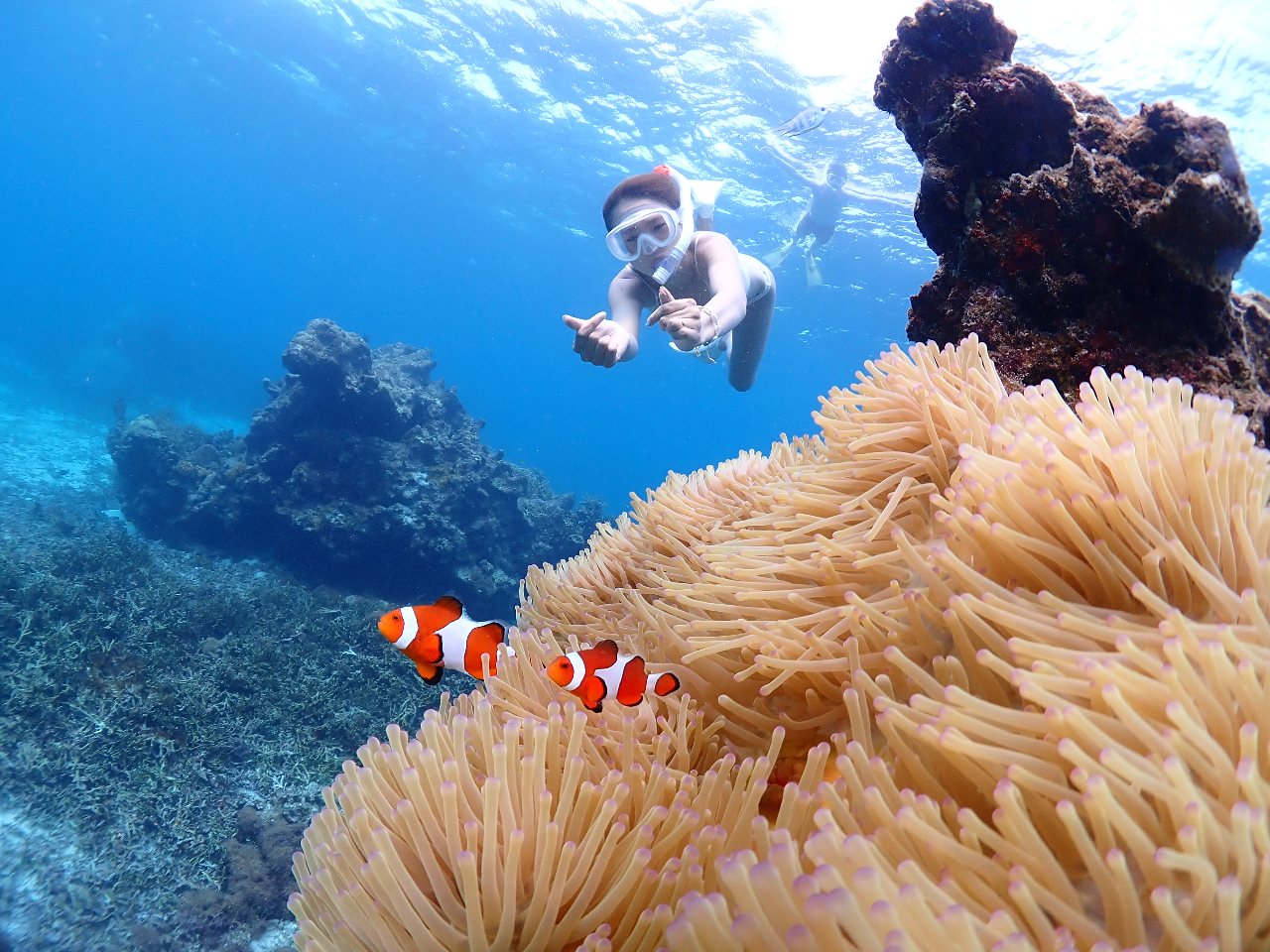 �Y��ȊC�ł̑̌��͍ō��ł���