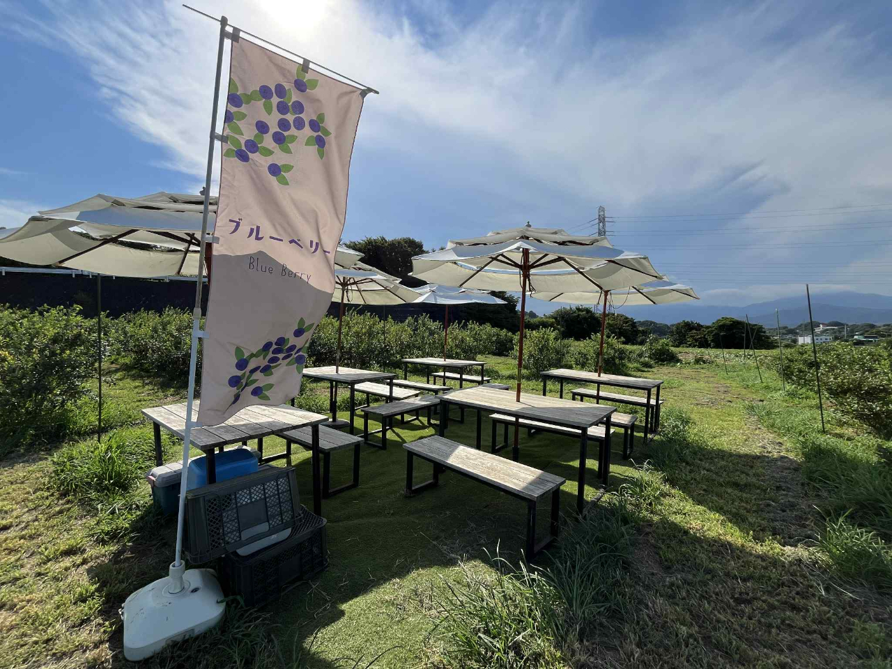 ��t�͂�����ł��i�p���\���ƃe�[�u���͑̌����A���R�ɂ����p���������܂��j