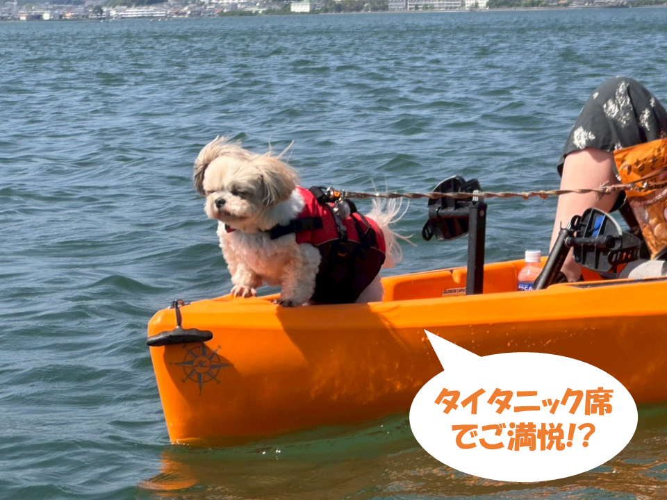 普段着・手ぶらで体験OK】2人乗りペダルカヤック・わんこ(ペット)同乗