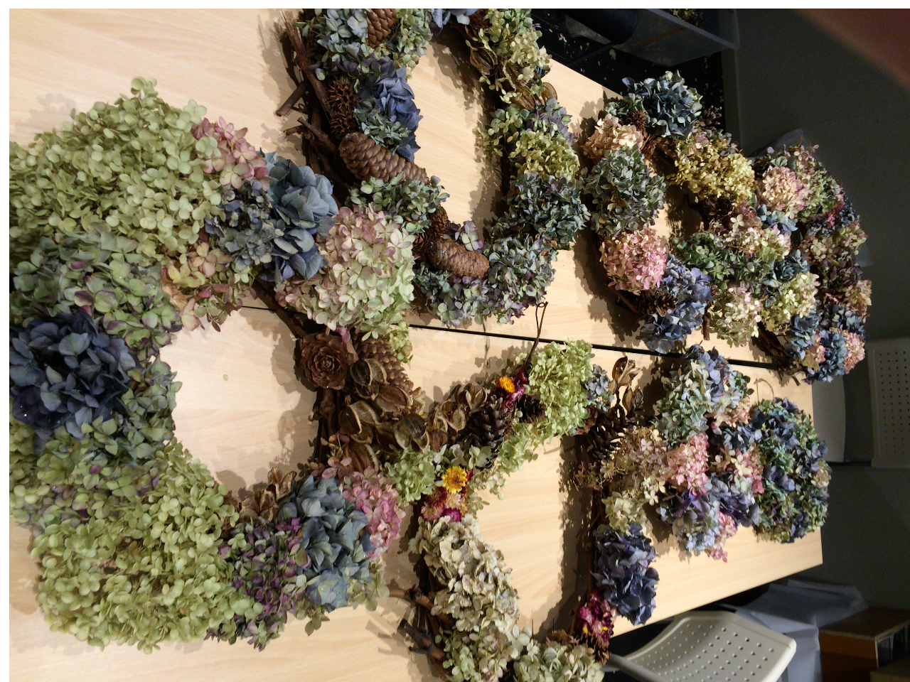 �~�����M�������[��Â��艮�̎ʐ^2