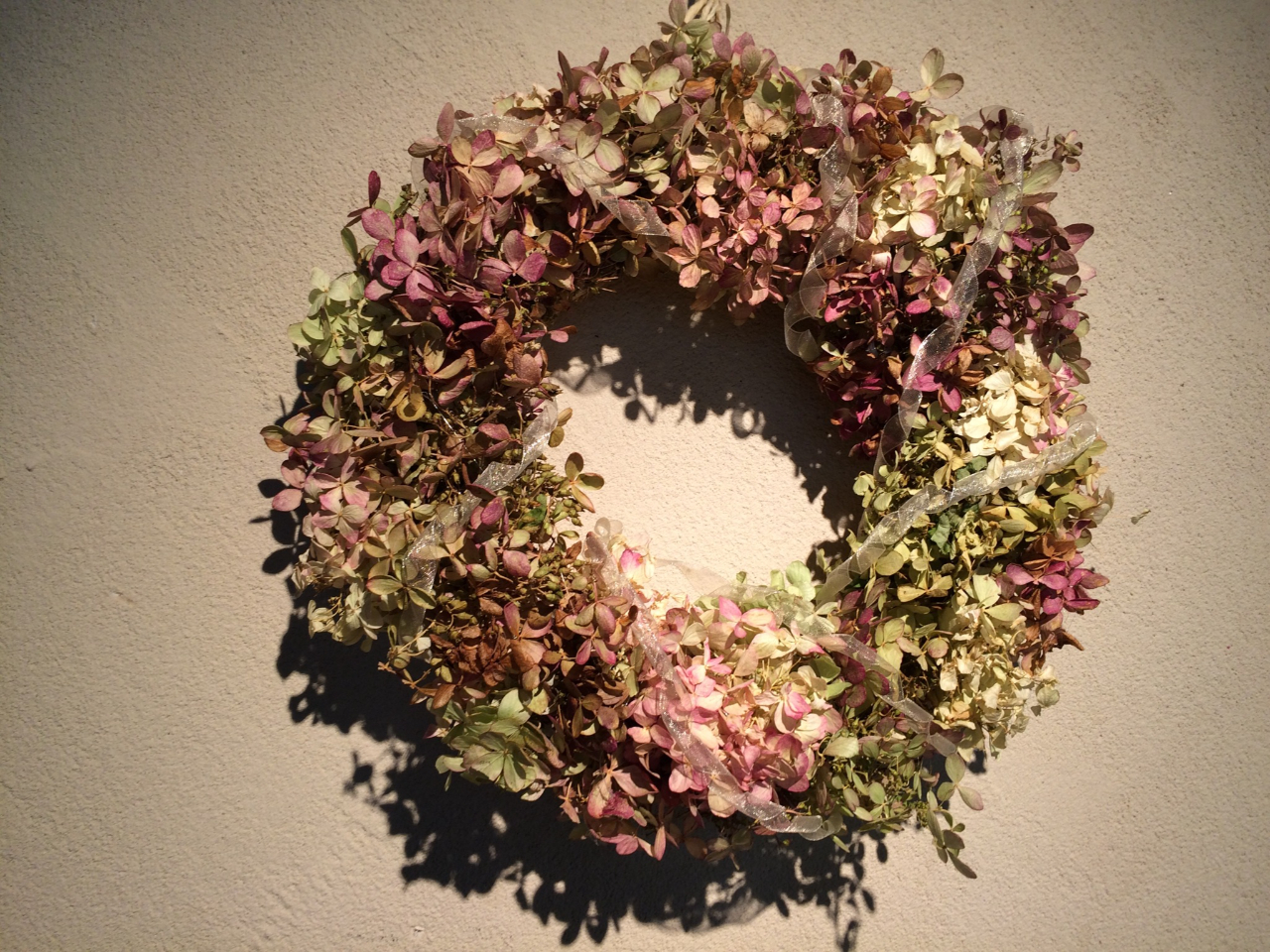 �~�����M�������[��Â��艮�̎ʐ^4