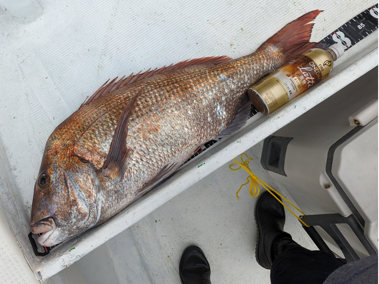 ܂ɉ̃^C܂ŒނꂿႢ܂II