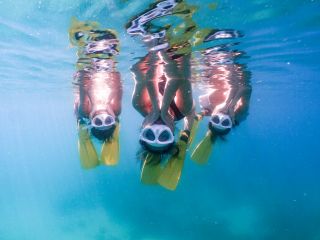 南紀白浜のキレイな海を堪能できます!