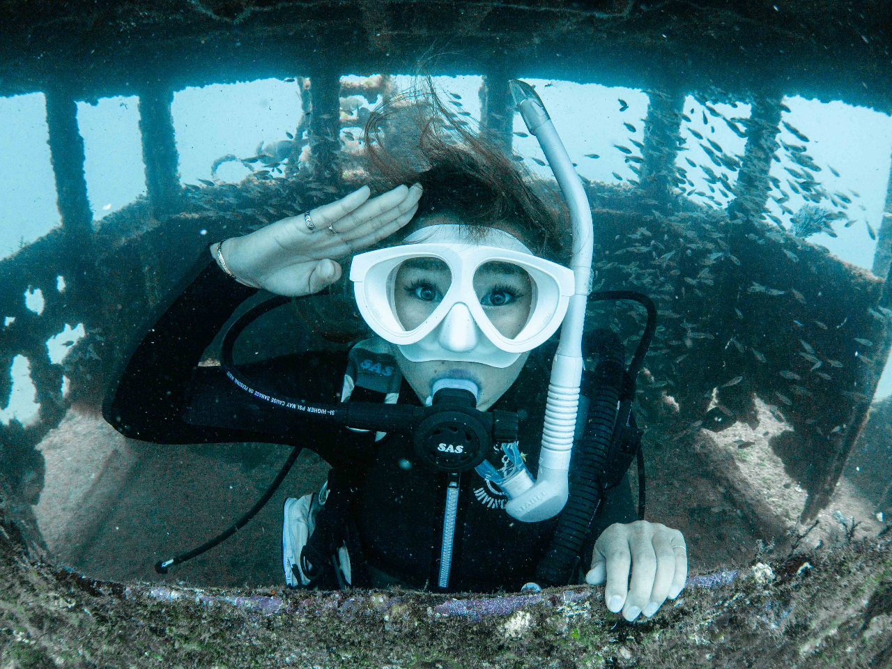 Kė]T̂_Co[ɂȂ܂傤I