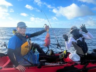 大きなバラハタです