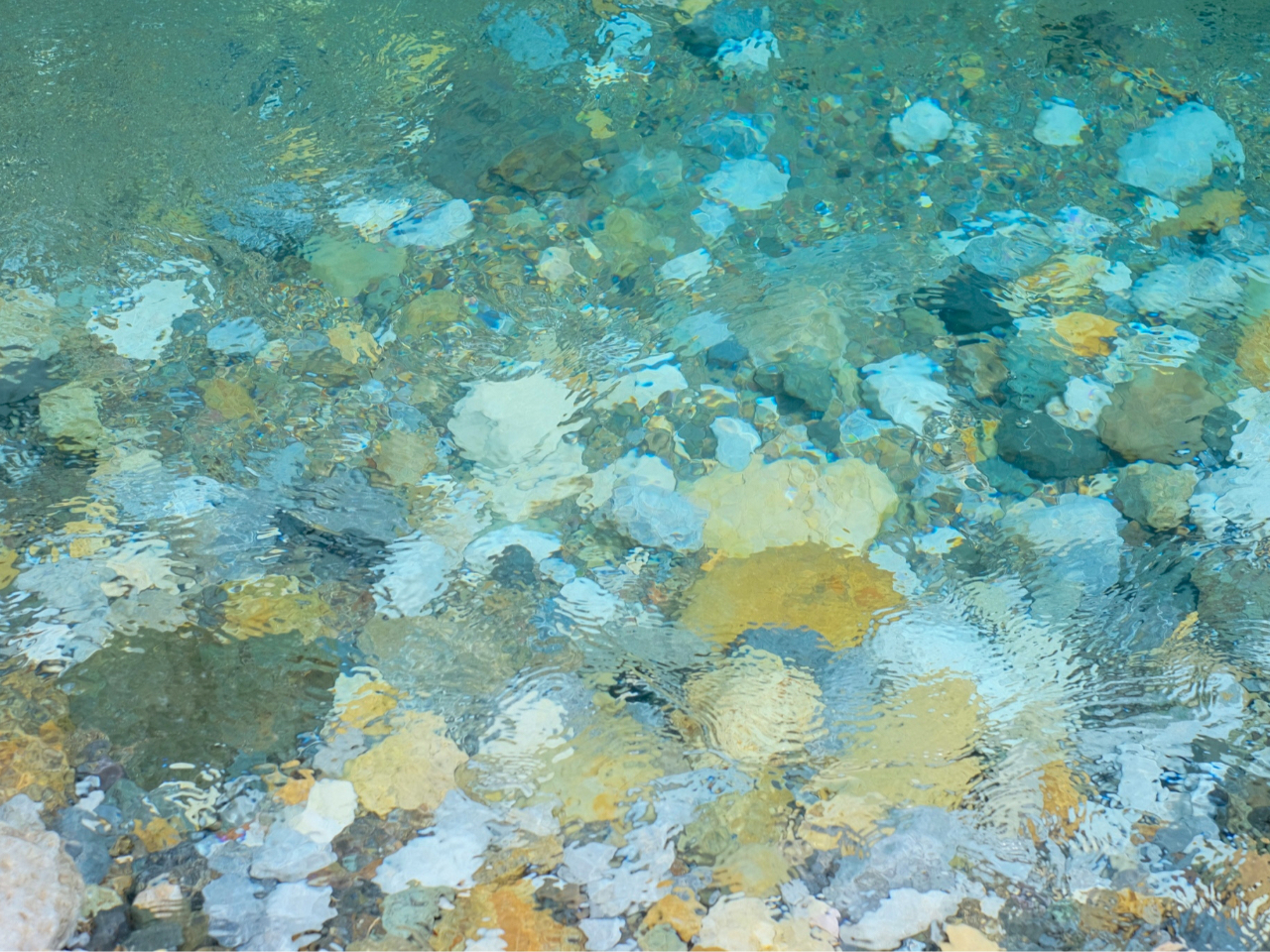 �L�x�ȕ��������������ސ_���́A�u��Ղ̐����C�v�u�_��u���[�v�ƌĂ΂�Ē��ڂ���Ă��܂�