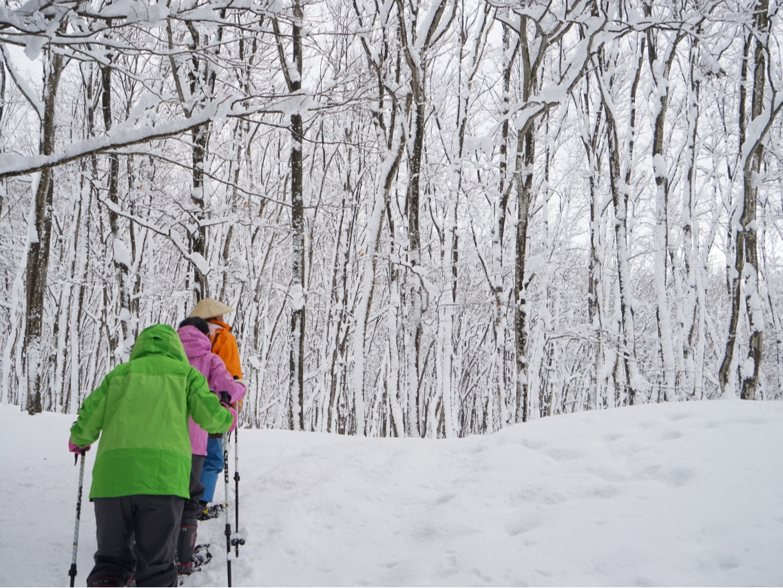 �~�̐X�̐������ɑ����ł��邩���c�H�I