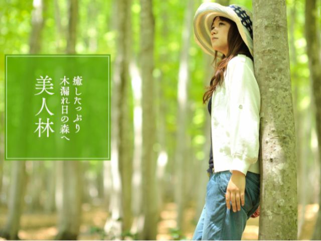 旅の途中スニーカー履きでデジカメ片手に気軽にハイキングを楽しめるツアーです!