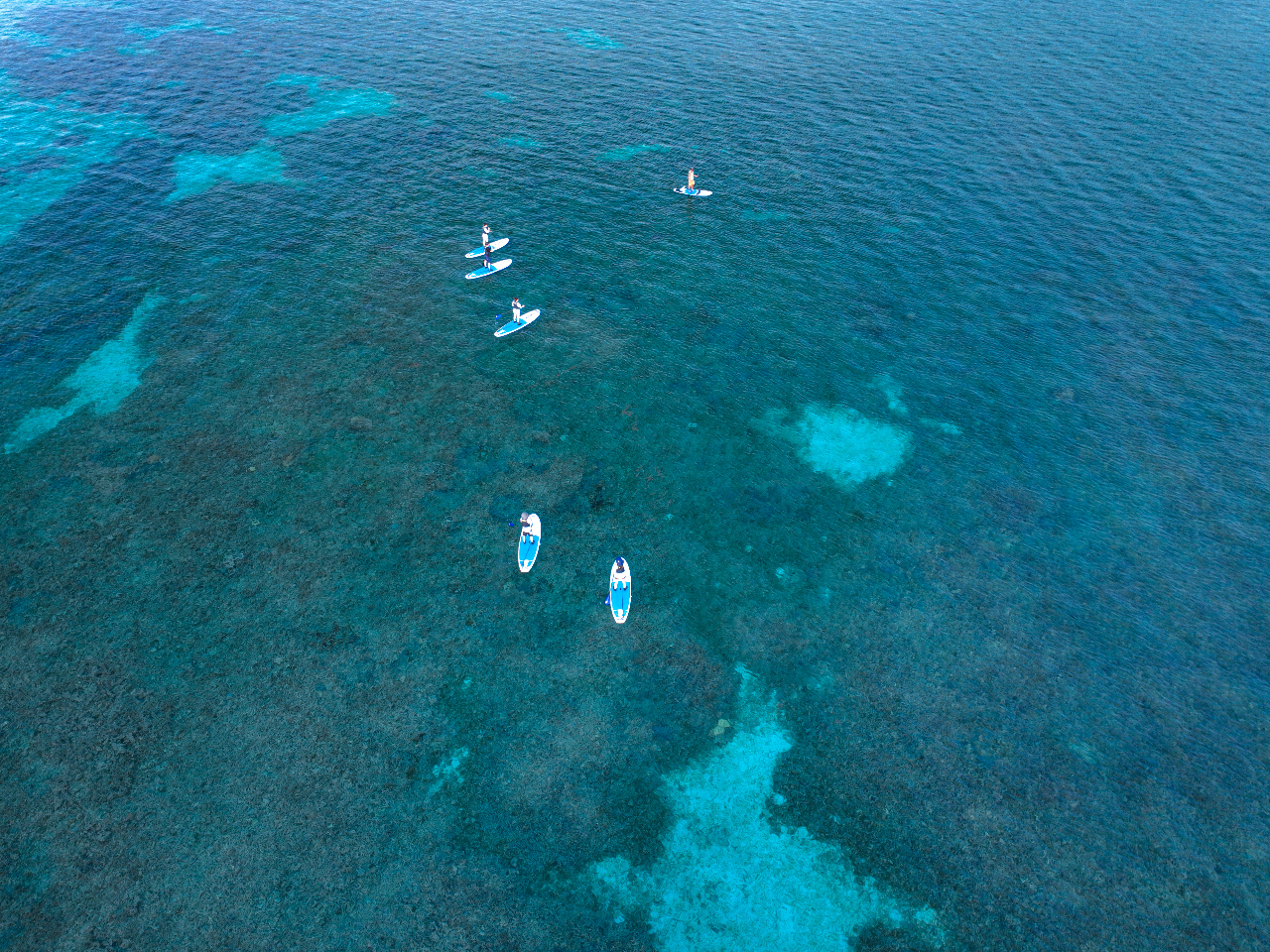 当日のベストなポイントでツアー開催いたします。