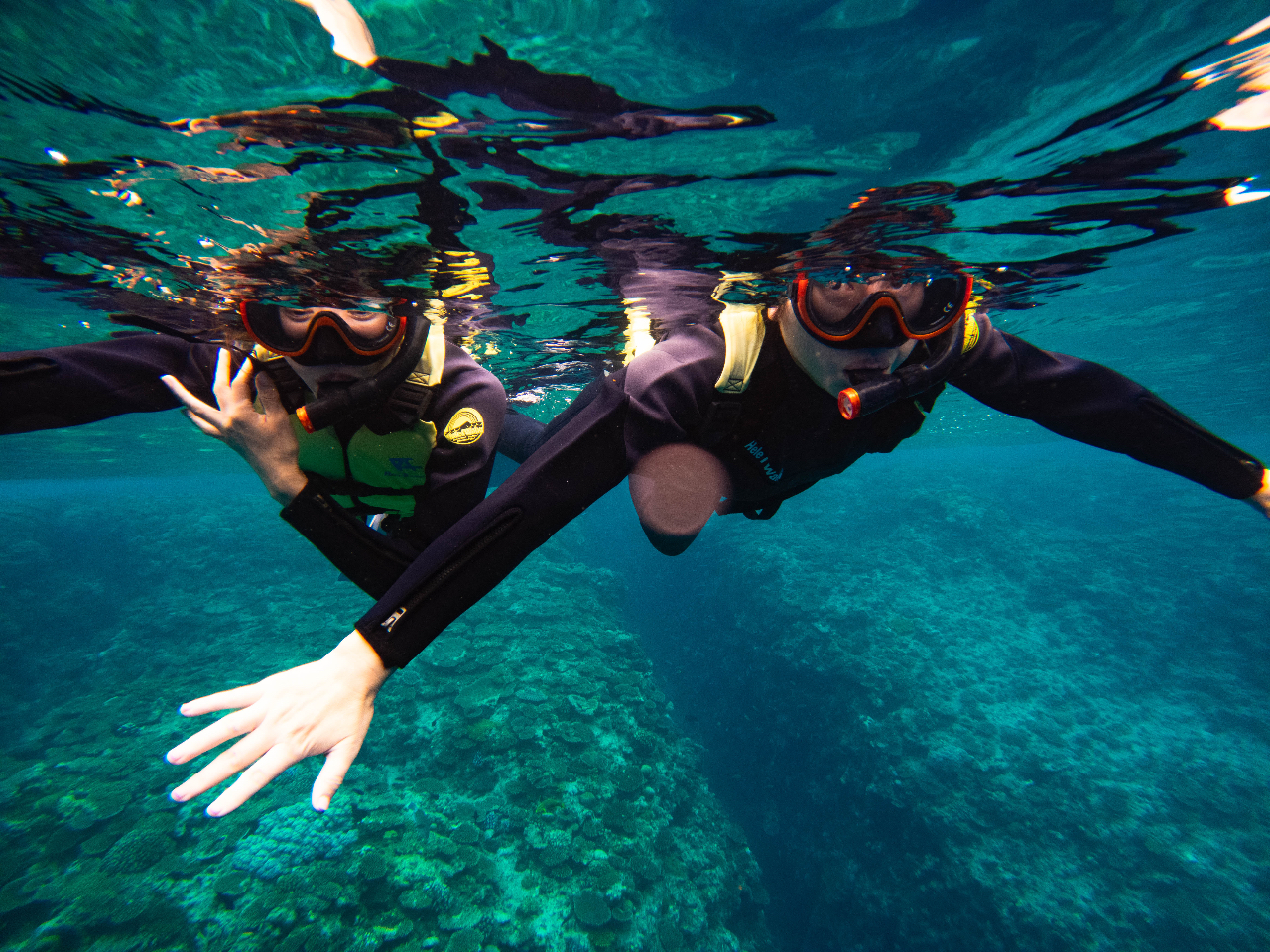 シュノーケリング