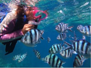 小さなお子様でも貸し切りツアーなので安心してご参加可能です。