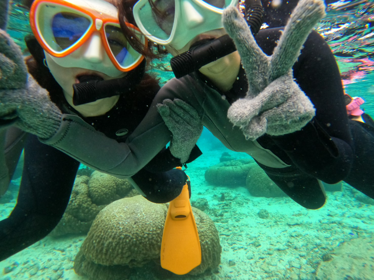 �n�`�����`�����C�Ȃ��q�l