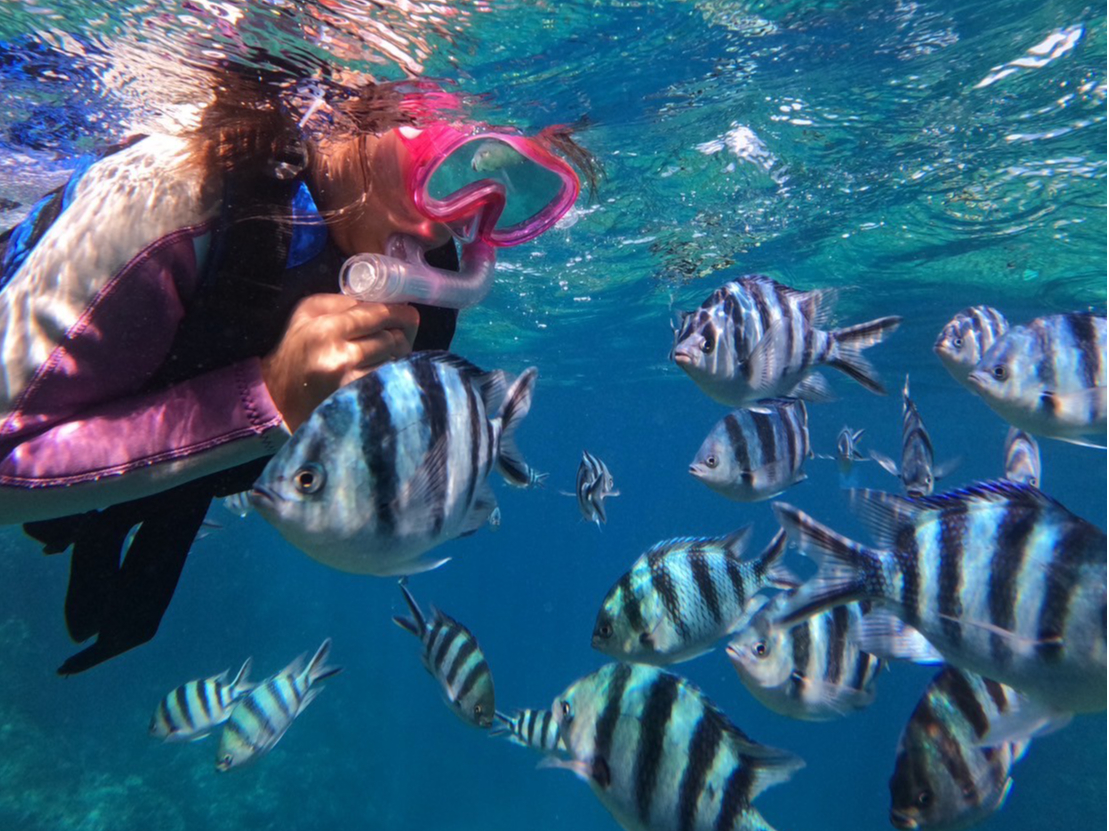 Ȃqlł݂؂cA[Ȃ̂ňSĂQ\łB