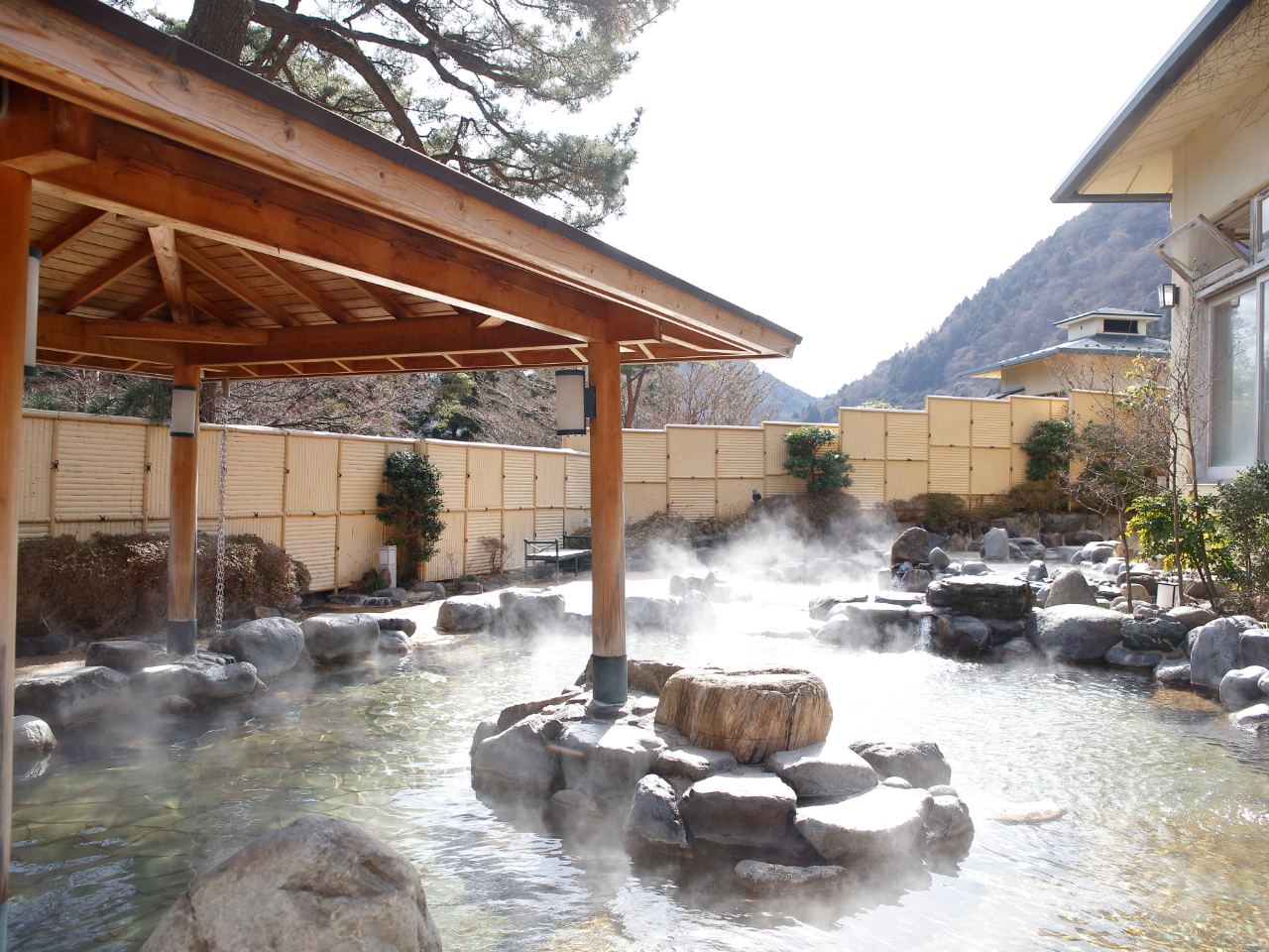 �H��ɂ́A�Ȃ�ƁI�������O���X�̓��̓��A�艷��̓��������v���[���g�I�J���I�ȘI�V���C�����y���݂��������B