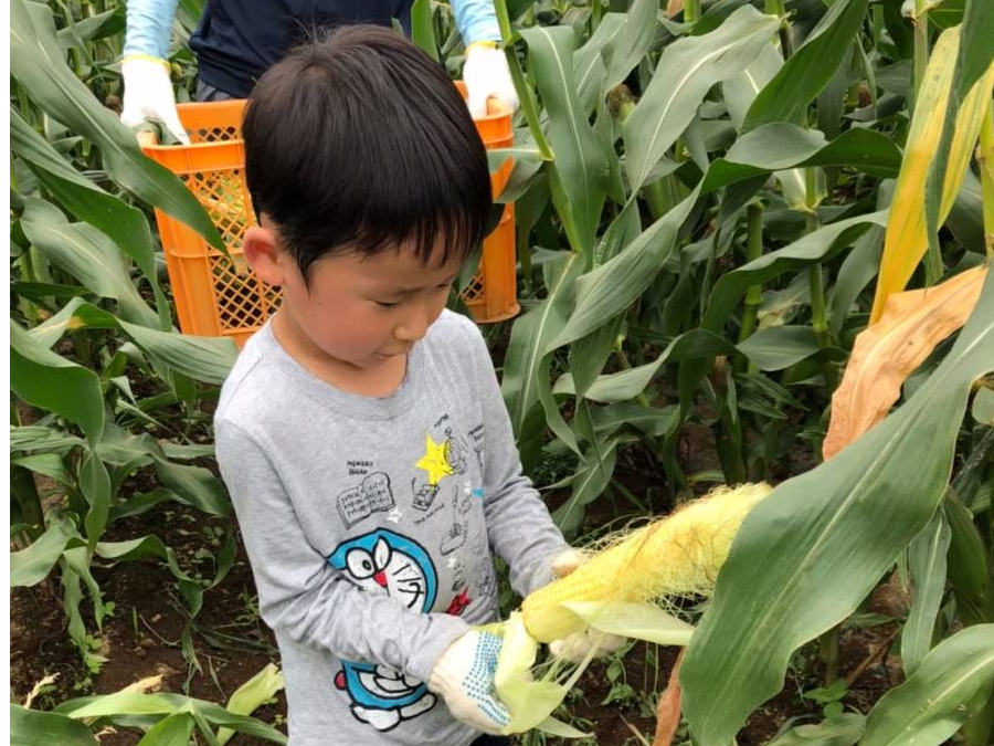 �ǂ�ǂ�H�@���܂ł�����������t���Ă��邩�ȁH