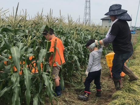 �L�`���g�E�����R�V���̒�����f�b�J�C�̂�T�����I