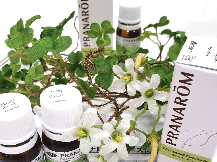 EIɂiւviЂ̃fBJA}pI[KjbNP^Cvgp܂B