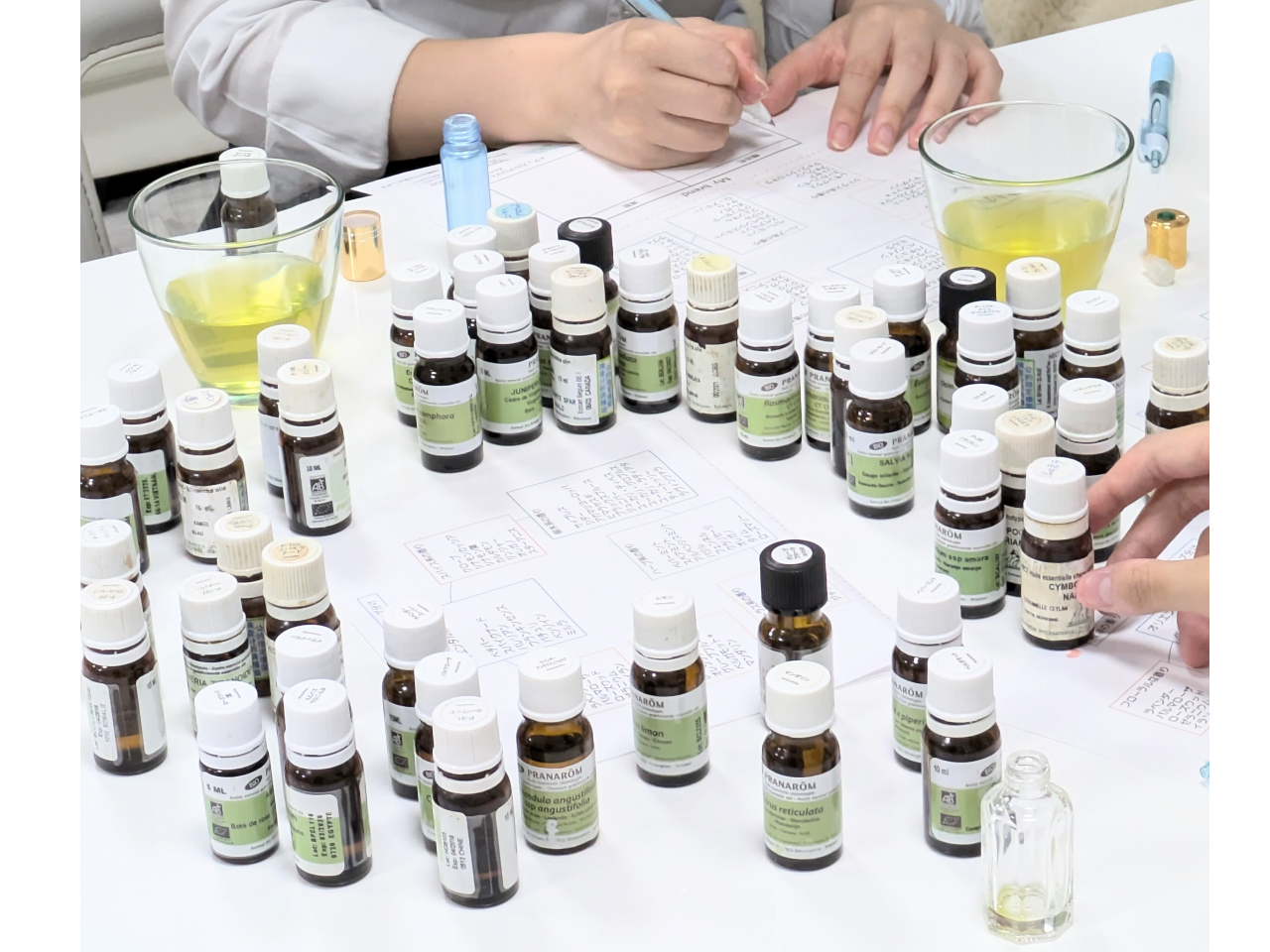 50ވȏ̃I[KjbN̒gݍ킹ĐE1̂Ȃ̍܂B