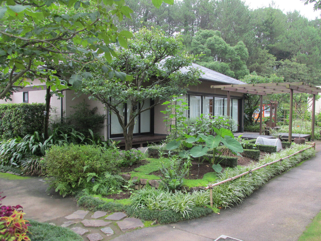 cw̉ ȕHve[}ɁAĂAȂǂ{̉i܂B