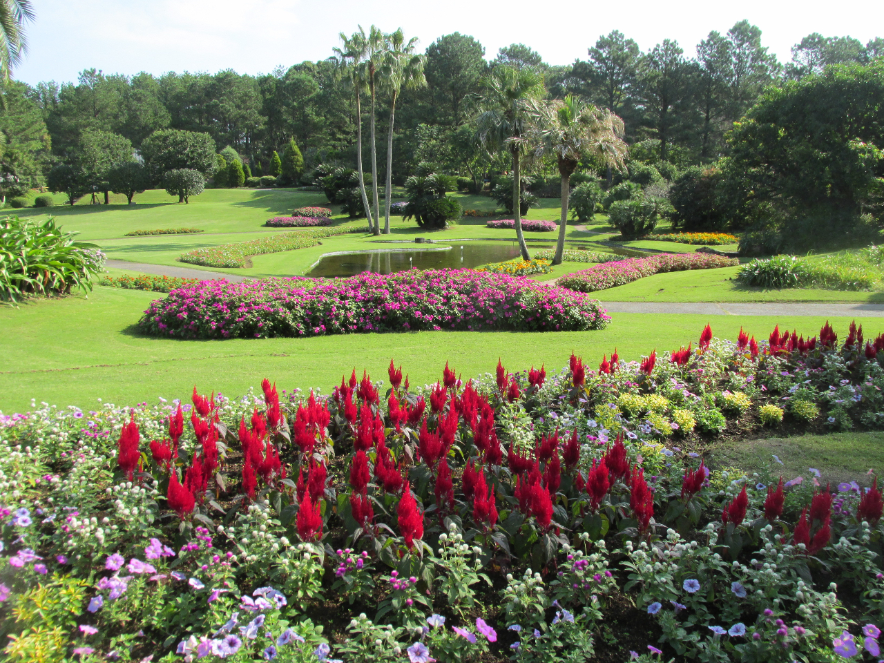 ��N���΂��������Ő��L���A�e�[�}�ʂɐA�͂��ꂽ�X���݌��{���ȂǁA�ԂƗ΂Ɉ͂܂�Ă������Ɖ߂������Ƃ��ł��܂�