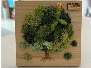 ミニモスティック完成品!