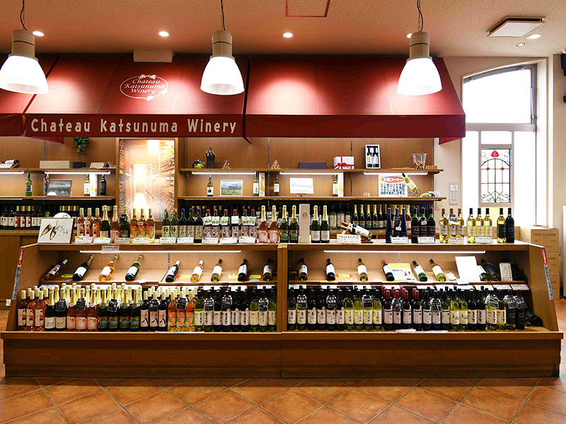 �V���g�[����