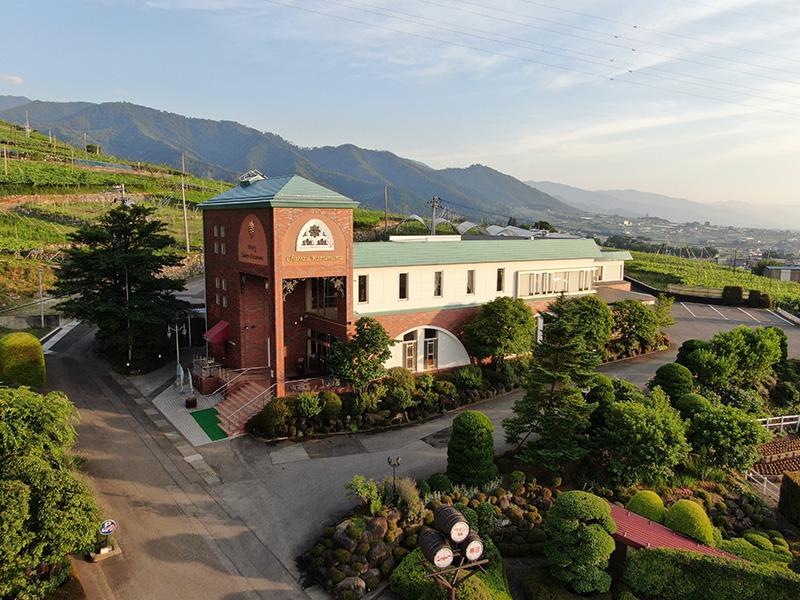 �V���g�[����