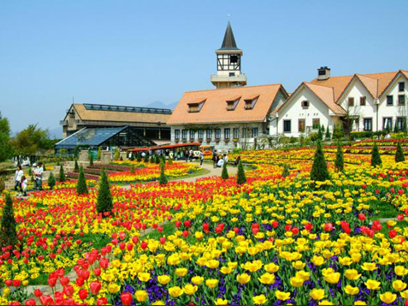 �n�C�W�̑�